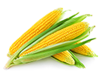 Corn