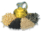 Oil Seeds